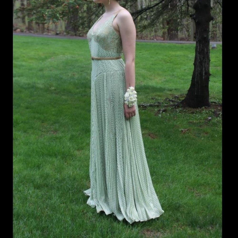 Stunning Mignon Gown
